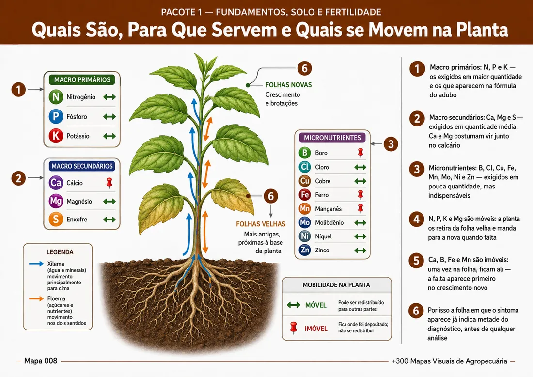 Prévia adicional 5