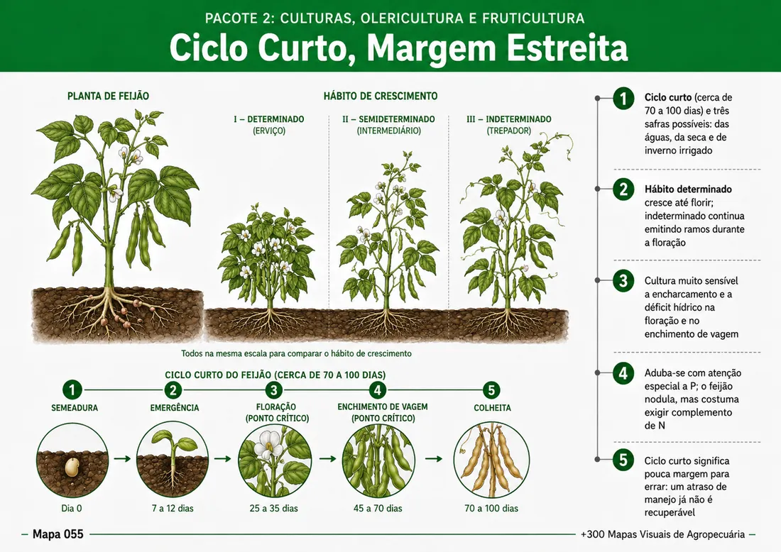 Prévia adicional 7