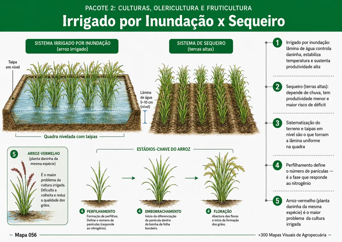 Prévia adicional 8