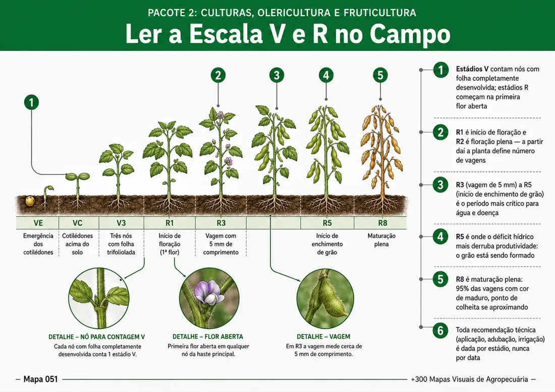 Mapa visual 2