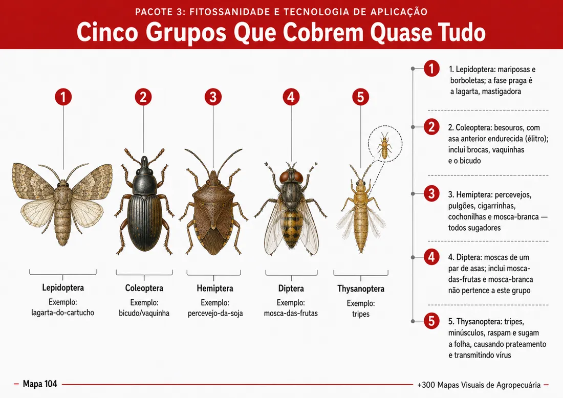 Mapa visual 7