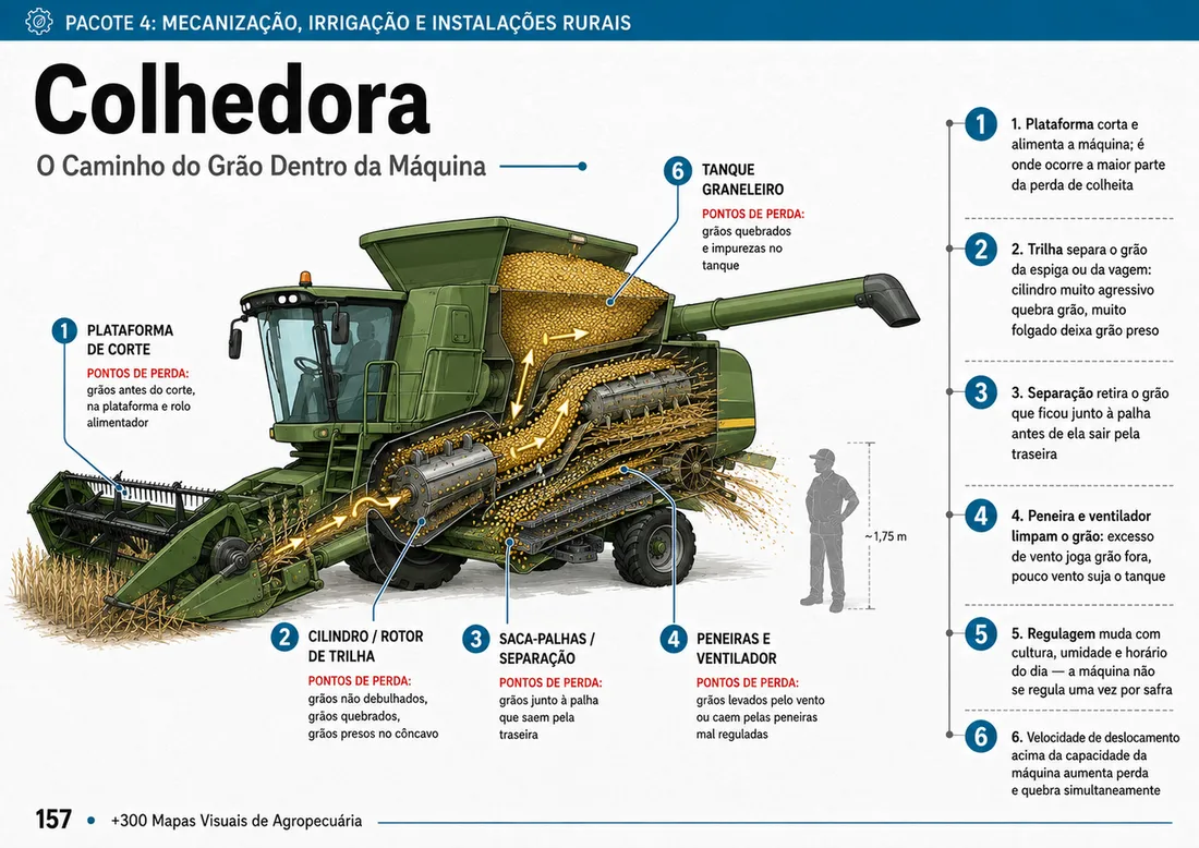Mapa visual 4